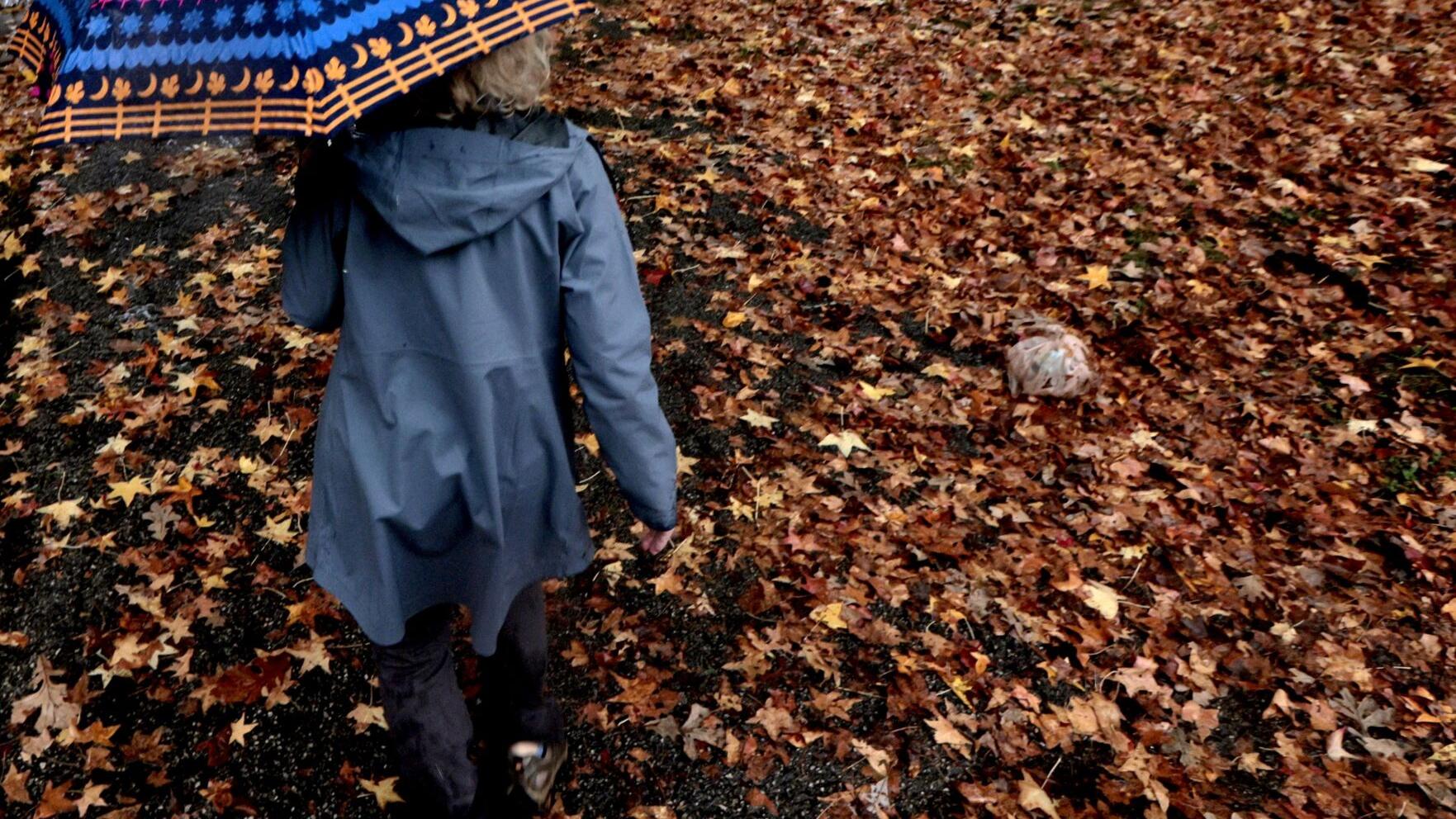 St. Louis' wet weather will stretch into Tuesday, after polls open on Election Day